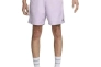 Шорти Nike U NK SB NVLTY CHINO SHORT DH2892-530 Фото 2