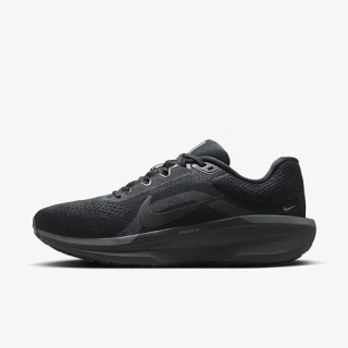 Чоловічі кросівки NIKE AIR WINFLO 11 FJ9509-002