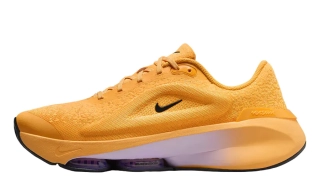 Кросівки Nike W VERSAIR DZ3547-705