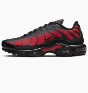 Кроссовки Nike AIR MAX PLUS DZ4507-600