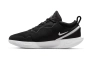 Чоловічі кросівки Nike Zoom Court Pro DH2603-010 Фото 1