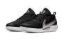 Чоловічі кросівки Nike Zoom Court Pro DH2603-010 Фото 4