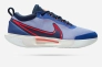 Чоловічі кросівки Nike Zoom Court Pro DH2603-400 Фото 3