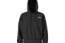 Худые The North Face Evolution Vintage Hoodie Black NF0A84GEJK3 Фото 2