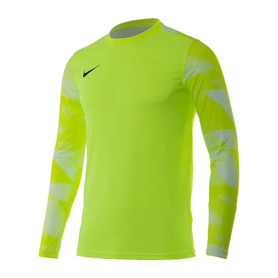 Кофта Nike Dry Park IV Goalkeeper Jersey Long Sleeve CJ6066-702 фото 1 — интернет-магазин Tapok