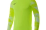 Кофта Nike Dry Park IV Goalkeeper Jersey Long Sleeve CJ6066-702 Фото 1
