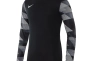 Футболка Nike Dry Park IV Goalkeeper Jersey Long Sleeve CJ6066-010 Фото 1