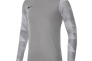 Футболка Nike Dry Park IV Goalkeeper Jersey Long Sleeve CJ6066-052 Фото 1
