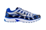 Кросівки чоловічі Nike P-6000 (CD6404-400) Фото 10