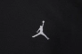 Кофта чоловіча Jordan Brooklyn Fleece (FV7293-010) Фото 4