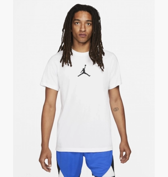 Чоловіча футболка NIKE M Jordan JUMPMAN DF SS CREW CW5190-102 фото 1 — інтернет-магазин Tapok