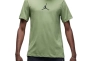 Футболка AIR JORDAN MJ JUMPMAN DF SS CREW CW5190-340 Фото 1