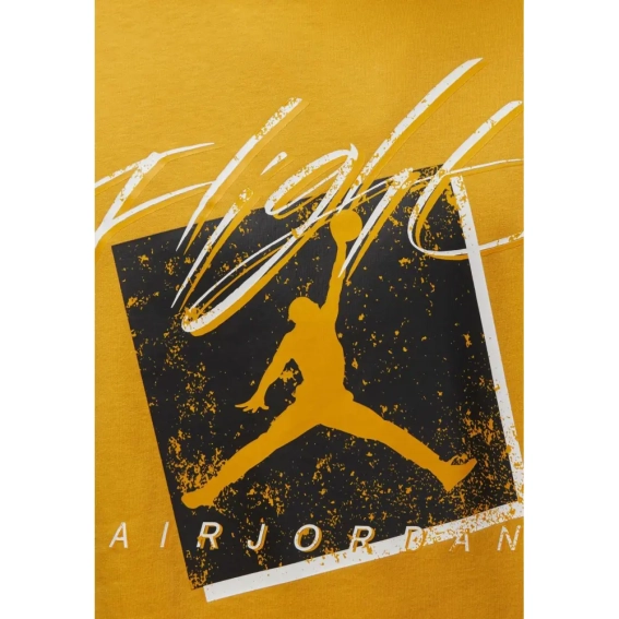 Футболка Air Jordan Brand Gfx Ss Crew 1 Yellow DX9593-717 M DX9593-717 фото 3 — интернет-магазин Tapok