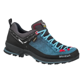 Кроссовки Salewa WS MTN Trainer 2 GTX Синий