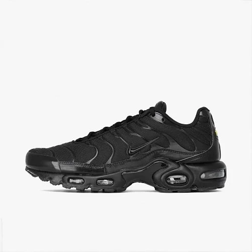 Кросівки Nike AIR MAX PLUS 604133-050 фото 1 — інтернет-магазин Tapok