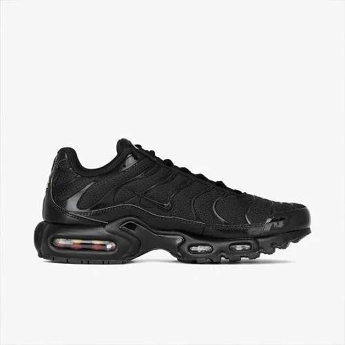 Кросівки Nike AIR MAX PLUS 604133-050 фото 2 — інтернет-магазин Tapok
