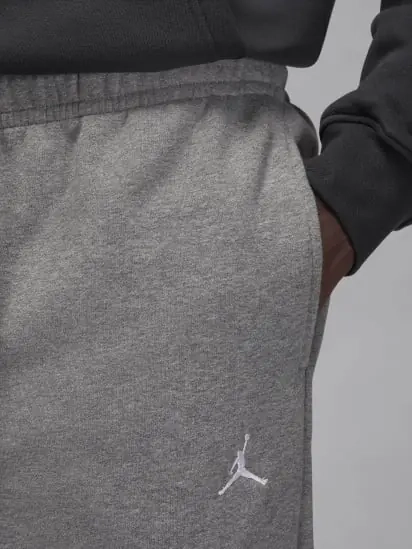 Штани Nike Brooklyn Grey FV7277-091 L FV7277-091 фото 3 — інтернет-магазин Tapok