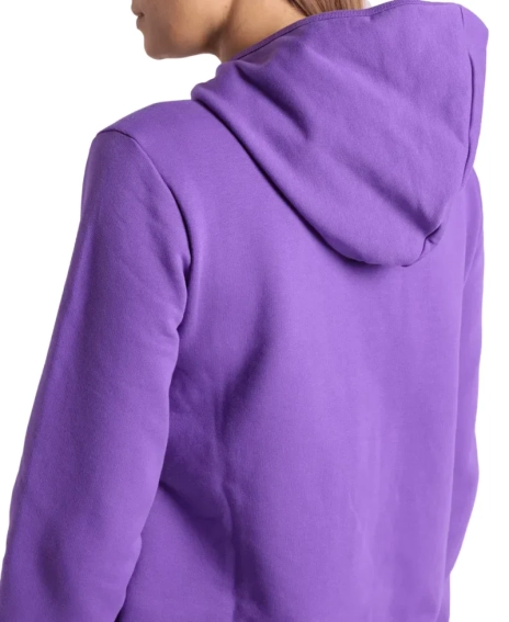 Худые Arena TEAM HOODED JACKET PANEL 004895-959 фото 3 — интернет-магазин Tapok