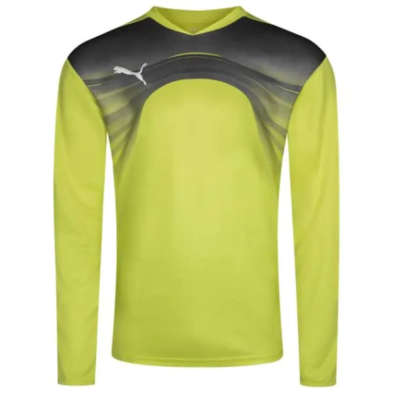 Кофта воротаря Puma Goalkeeper 700785-32 700785-32 фото 1 — інтернет-магазин Tapok