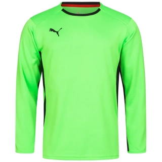 Кофта вратаря Puma V1.08 700466-15 700466-15