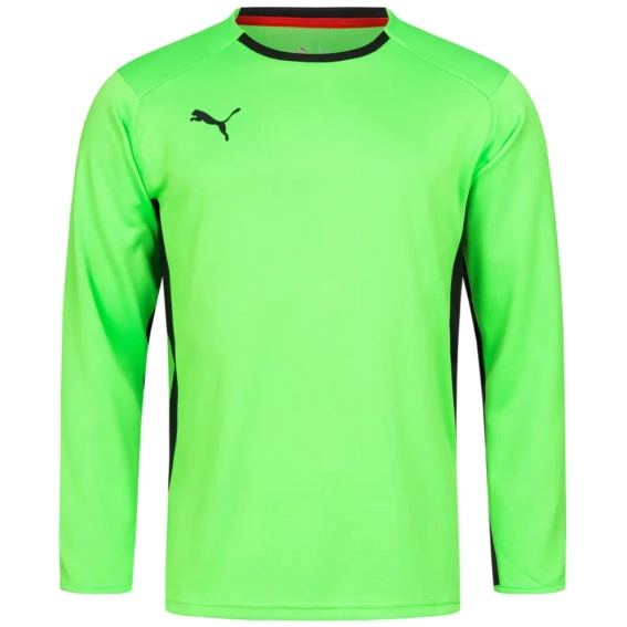 Кофта вратаря Puma V1.08 700466-15 700466-15 фото 1 — интернет-магазин Tapok