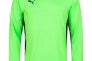 Кофта вратаря Puma V1.08 700466-15 700466-15 Фото 1
