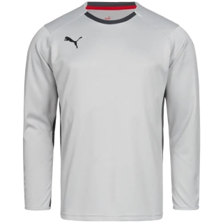 Кофта вратаря Puma V1.08 700466-16 700466-16