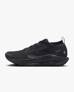 Кросівки Nike Pegasus Trail 5 Gore-Tex FQ0908-002