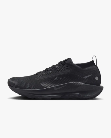 Кроссовки Nike Pegasus Trail 5 Gore-Tex FQ0908-002 фото 1 — интернет-магазин Tapok