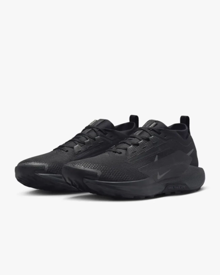 Кроссовки Nike Pegasus Trail 5 Gore-Tex FQ0908-002 фото 2 — интернет-магазин Tapok