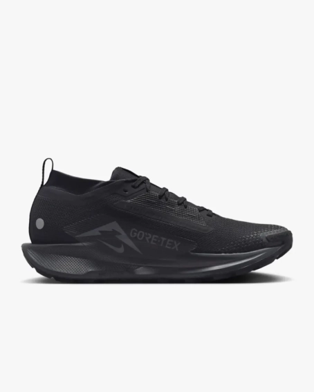 Кроссовки Nike Pegasus Trail 5 Gore-Tex FQ0908-002 фото 3 — интернет-магазин Tapok