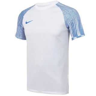 Футболка Nike Dri-FIT Academy DH8031-102 DH8031-102