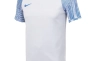 Футболка Nike Dri-FIT Academy DH8031-102 DH8031-102 Фото 1