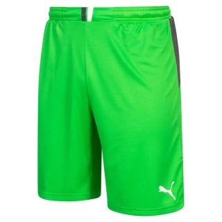 Шорты вратарские PUMA King 701701-43 701701-43