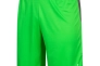 Шорти воротарські PUMA King 701701-43 701701-43 Фото 1