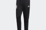 Штани Adidas Perfomance TAN Training FM0887 FM0887 Фото 1