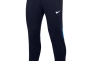 Штани спортивні Nike DRI-Fit ACADEMY PRO DH9240-451 DH9240-451 Фото 1
