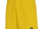 Шорты Macron Mesa Hero shorts 5223-05 5223-05 Фото 1