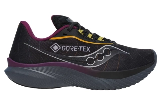 Кроссовки для бега Saucony KINVARA 15 GTX S10969-250