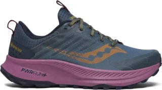 Кроссовки для бега Saucony RIDE TR2 GTX S10953-251