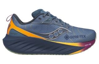 Кроссовки для бега Saucony TRIUMPH 22 GTX S10966-253