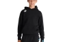 Худі Arena TEAM HOODED SWEAT PANEL 004919-500 Фото 3