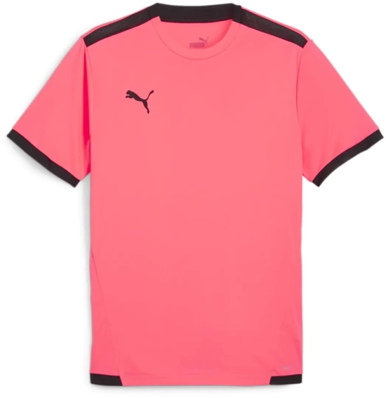 Футболка Puma Teamliga Jersey 704917-57 704917-57 фото 1 — интернет-магазин Tapok