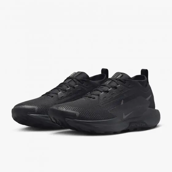 Кроссовки мужские Nike Pegasus Trail 5 Gtx (FQ0908-002) фото 1 — интернет-магазин Tapok
