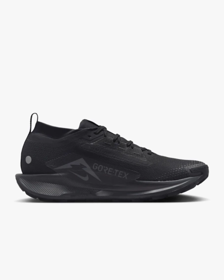 Кроссовки мужские Nike Pegasus Trail 5 Gtx (FQ0908-002) фото 2 — интернет-магазин Tapok