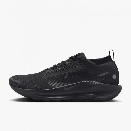 Кроссовки мужские Nike Pegasus Trail 5 Gtx (FQ0908-002) фото 3 — интернет-магазин Tapok