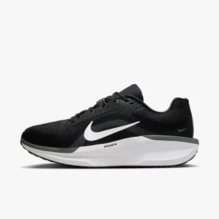 Кросівки Nike AIR WINFLO 11 FJ9509-001