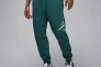 Штани JORDAN M J ESS FLC BASELINE PANT FD7345-366 Фото 1