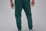 Штани JORDAN M J ESS FLC BASELINE PANT FD7345-366 Фото 2