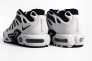 Кросівки чоловічі Nike Air Max Plus Drift White/Grey FD4290-101 Фото 15